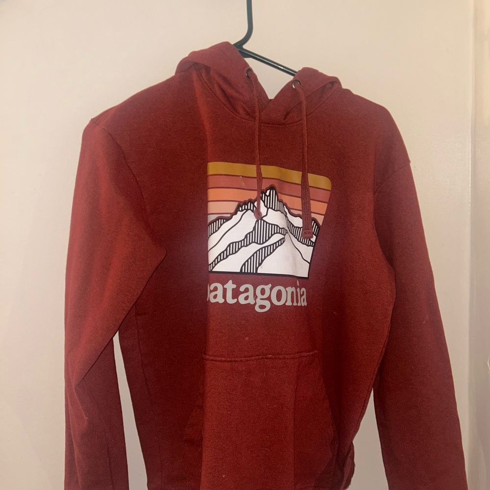 Patagonia Red Sweater with Mountain Graphic
